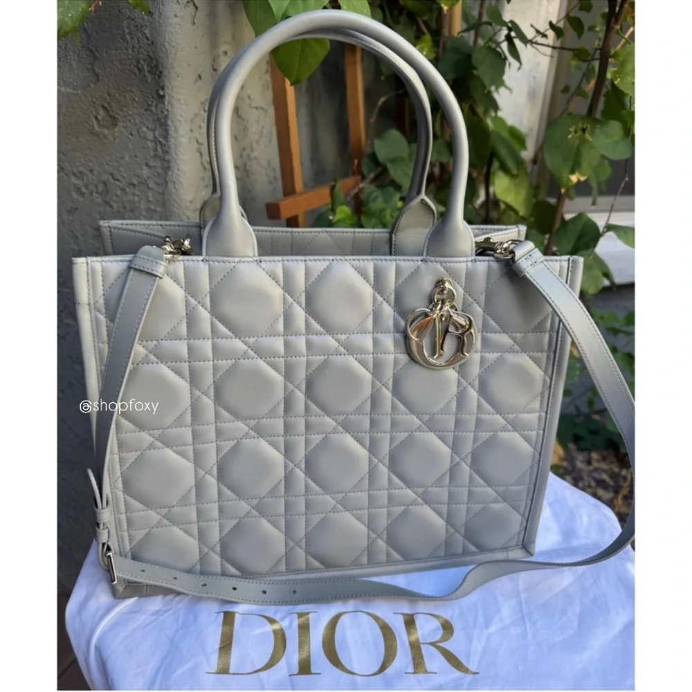 Dior christian calfskin